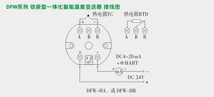 一体化温度变送器,DFW温度变送器接线图